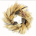 Adlmired By Nature Admired By Nature GFW7018-NATURAL 24 in. Artificial Pumpkin Wheat Berry with Corn Husk Wreath for Front Door Fall Festive Harvest Thanksgiving - Unlit; Natural GFW7018-NATURAL